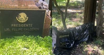 Árbol, que cayó por fuertes lluvias, tumba la estatua de Felipe Calderón en Los Pinos