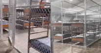 Dos hermanos mexicanos son enviados a Alligator Alcatraz; SRE da protección consular
