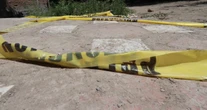 Aída Karina, madre buscadora de Zacatecas, es hallada sin vida en San Luis Potosí