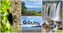 Golfo Dulce, Golfito... Puntos imperdibles en la zona del Pacífico Sur de Costa Rica