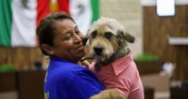 Congreso de Chiapas aprueba castigar hasta con 4 años de prisión la crueldad animal