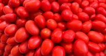 EU anuncia arancel de 17% al tomate proveniente de México; acusa comercio desleal