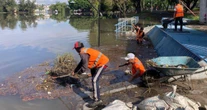 Fuertes lluvias afectan a 150 casas en Guadalajara; autoridades implementan operativo