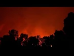 La canicule en Espagne alimente un incendie de forêt ravageur dans le parc national catalan