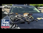 DETAILS: Man arrested after gun, knives found in car at Florida airport