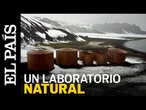 ANTÁRTIDA | Un laboratorio natural para buscar pistas sobre seres vivos en otros planetas | EL PAÍS