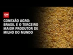 Brasil é o terceiro maior produtor de milho do mundo | LIVE CNN