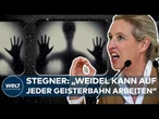 DEUTSCHLAND – Klartext gegen AfD: „Wer Brandmauern niederreißt, beteiligt sich an Brandstiftung!“