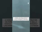 A Cerignola una banda ha fermato un automobilista sulla statale 16 rubandogli la Mercedes