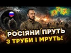 Мінуснули 44 окупанти за 30 хвилин! Найсмасовіший штурм росіян на Сумщині