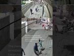 A lion escaped its owner in Lahore, Pakistan, attacking woman and two children #pakistan #lion