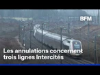 Canicule: la SNCF annule des dizaines de trains à cause des fortes chaleurs