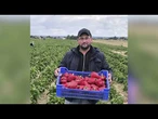 Zagłada polskiego rolnictwa? Kto na tym zyska, a kto straci?!