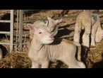 AGRO INFO | 15.08.2025 | TV Republika