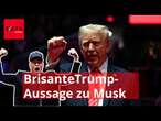 Brisante Trump-Aussage zu Musk sorgt für wilde Spekulationen im Netz