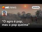 Sakamoto: Ricos vão herdar as terras arrasadas pelas mudanças climáticas e pobres, o sofrimento