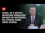 Gripe aviária: China, UE e México negociam diminuição do raio de restrição, diz Fávaro | LIVE CNN