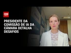 Desafio da Comissão de IA da Câmara é conciliar inovação e segurança, diz deputada | BASTIDORES CNN