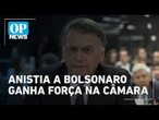 Anistia a Bolsonaro ganha força com apoio de líderes na Câmara | O POVO News
