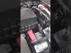 Kitten STUCK in car engine RESCUED by police officer #shorts #us #news #foxnews #cat #viral
