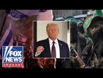 'This will go down in history,' retired US general says