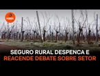 Seguro rural despenca e reacende debate sobre regras do setor
