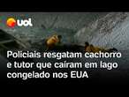 Cachorro e tutor são resgatados após caírem em lago congelado em Massachusetts, nos EUA; veja vídeo