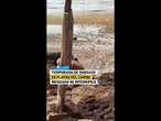 SARGAZO invade las playas del CARIBE con números récord #shorts