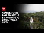 Análise: A busca do Brasil por US$ 10 bilhões a fundo para florestas | WW