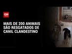 Mais de 200 animais são resgatados de canil clandestino em Embu das Artes | CNN PRIME TIME