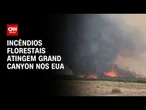 Incêndios florestais atingem o Grand Canyon nos Estados Unidos | CNN NOVO DIA