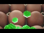 AGRO INFO | 13.08.2025 | TV Republika
