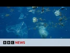 Can robot sharks cleanup our waterways? | BBC News