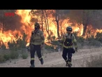 SPAGNA, la CATALOGNA brucia: anche i militari chiamati a combattere contro fiamme e vento
