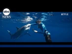 This simple advice from the ‘Shark Whisperer’ could save your life