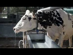 AGRO INFO | 08.09.2025 | TV Republika