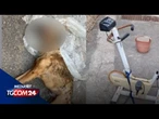 Giugliano, la padrona va in ferie e lo lega alla catena. Ancora un cane abbandonato e morto