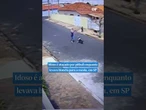 Idoso é atacado por #pitbull enquanto levava bisneta para a #escola em São Paulo #shorts #noticias