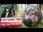 ХАРКІВСЬКИЙ ЗООПАРК У РОЗПАЧІ! Для тварин не можуть знайти пару через близькість до фронту