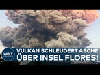 INDONESIEN: Vulkanausbruch auf Flores - Asche 18 km in die Luft gefeuert! Flugverkehr lahmgelegt!