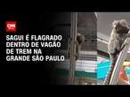 Macaco sagui é flagrado dentro de vagão de trem na Grande São Paulo | CNN PRIME TIME