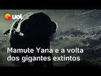 Mamute Yana e a volta dos gigantes extintos: qual será a consequência para o planeta? | O Impensável