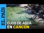 MÉXICO | Ojos de agua causan furor en Cancún | EL PAÍS