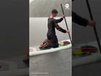 Raccoon rescued by paddleboarders during heavy rain