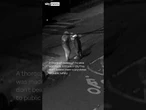 Who are these people dropping into New York's sewer system?