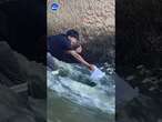 Man catches jumping fish with a jug - That's one way to do it