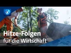 Klimaanlagen & Siesta: Wie die deutsche Wirtschaft mit der Hitze umgehen kann