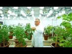 Le ministre de l'agriculture ouzbek qui a transformé la génétique de l'agriculture