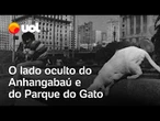 Gatos, abandono e extermínio: o lado oculto do Anhangabaú e do Parque do Gato; veja vídeo