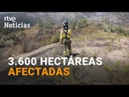 La UME se INCORPORA a las LABORES de EXTINCIÓN del INCENDIO de HUELVA | RTVE Noticias
